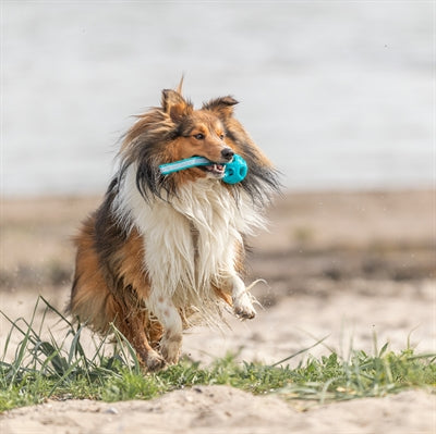 Trixie Wabenball Auf Seil Tpe