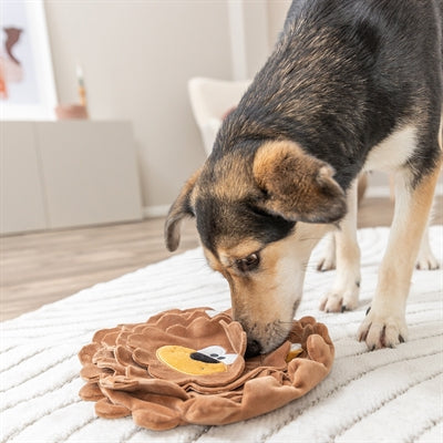 Trixie Be Eco Snackmatte Löwe Aus Recyceltem Plüsch